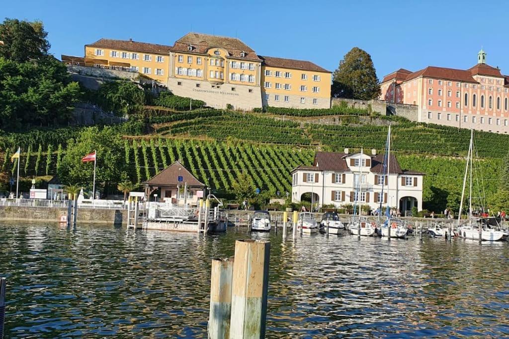 Fewo-Apfelbluete-Bodensee Friedrichshafen Bagian luar foto